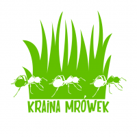 Kraina Mrówek